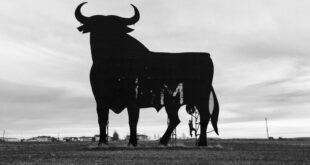 Bull market o mercato toro